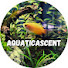 tG54Zma1zvU-channel-avatar-AquaticAscent