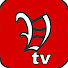 apGRoF_PRBw-channel-avatar-vima TV