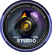 ペンギンスタジオ PENGUIN STUDIO
