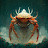 @kingcrab_suda