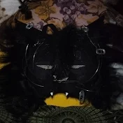1Cat_
