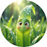 -HIr4FMPRHk-channel-avatar-GRASSY