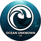 OCEAN UNKNOWN 4K