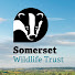 aDk5jZEHNeo-channel-avatar-Somerset Wildlife Trust