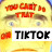 You Can’t Do That On TikTok 