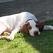 ほうほくりょうしのせいかつ