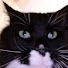 B6f8hWjQITQ-channel-avatar-Funny Funny