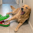 5eqpTSS9VTE-channel-avatar-We Love Dogs
