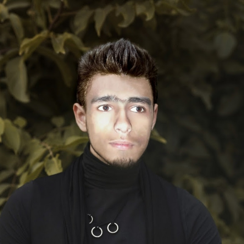 GFXEXPERT 
