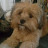 @Unity_99