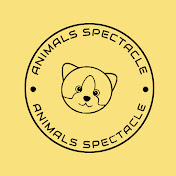 Animals Spectacle