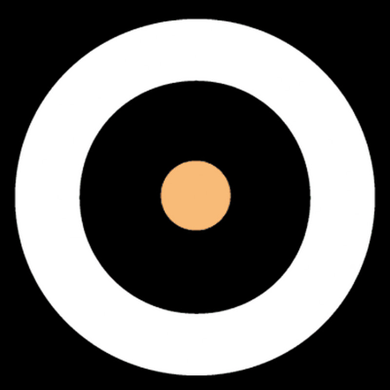 HOLOLIFE Summit (Biohacker Summit)