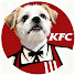 pFR0kuSao90-channel-avatar-Rash