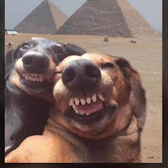 Penelope Turnerpenelopeturnerlumnytuk