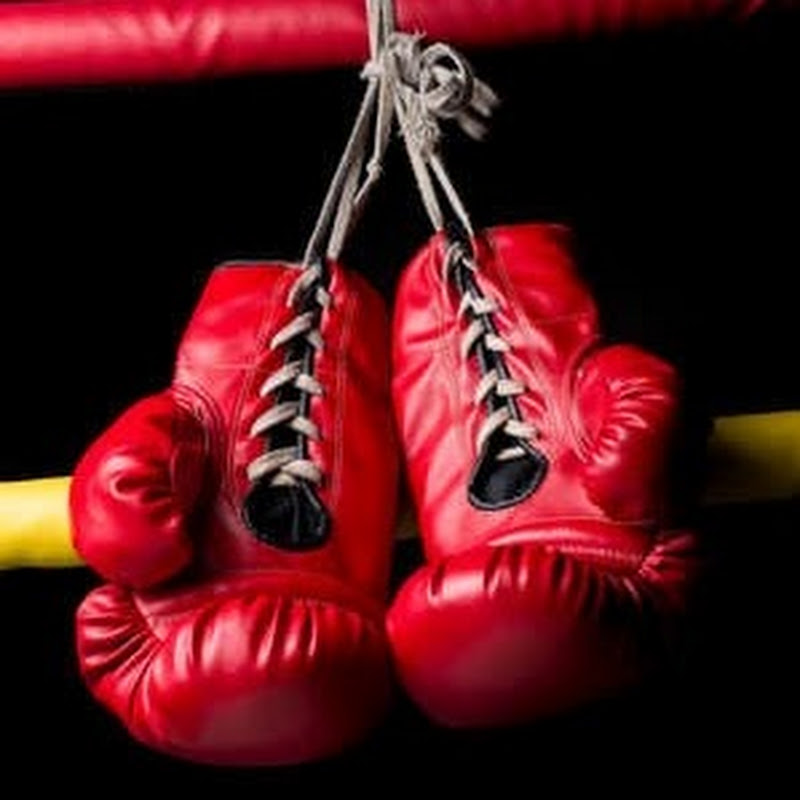  Brilliant fight