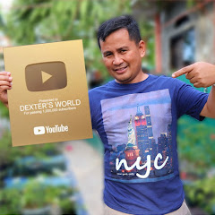 Dexter's World Channel icon