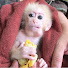 rd2TSr_GMHM-channel-avatar-Monkey Kabi
