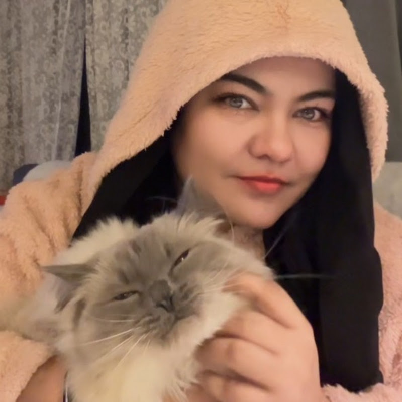 BFS CATS