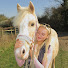 jFz31nQ_FiU-channel-avatar-Liv’s Riding Life