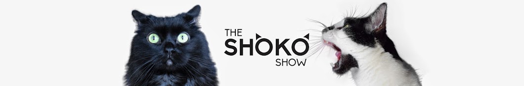 Sho Ko Avatar canale YouTube 