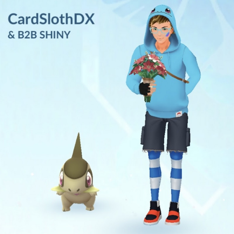 CardSlothDX