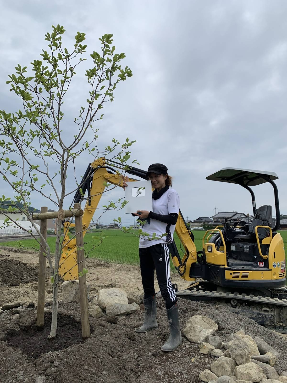 おはなです。 Gardening 58] May flowers, roses, perennial plants that are