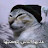@basemhisham6202