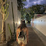 hQ_d2meNe48-channel-avatar-TheLostDiadem