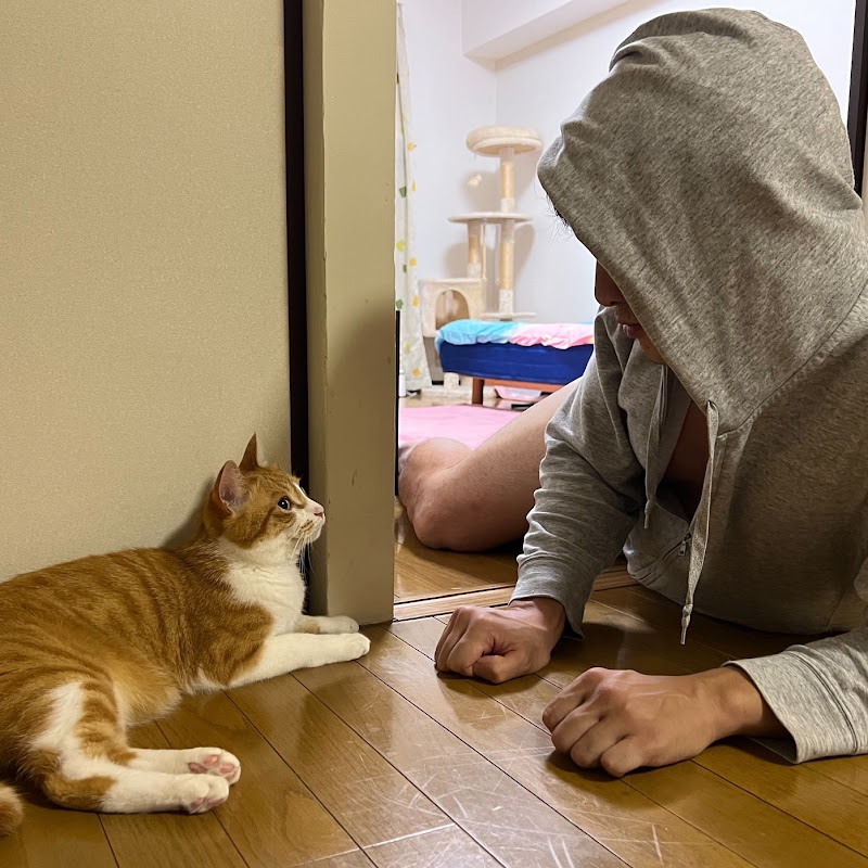 胸男 muneo YouTubeチャンネル画像