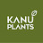 Kanu Plants