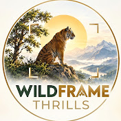 Wild Frame Thrills