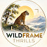IBShF9BA_ng-channel-avatar-Wild Frame Thrills