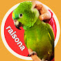 Raisona - Talkative Amazon Parrot (USA) logo