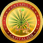 Catapult Capitalism logo