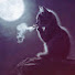 2OQXSk1cJL4-channel-avatar-Sunshinex.