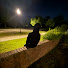 ewgnsrARRUw-channel-avatar-Dewey