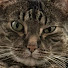 Au6RHb4X3Ag-channel-avatar-ItsJusttJustin