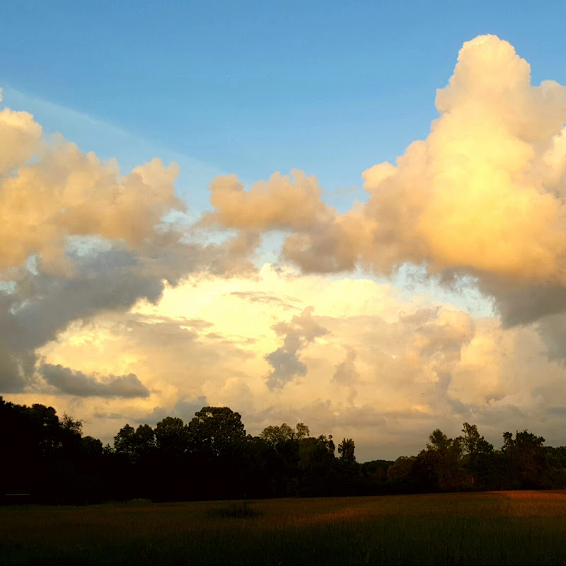 NDEs and the Afterlife