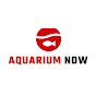 Aquarium Now logo