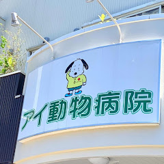 アイ動物病院【さいたま市大宮】ヘルニア・腎不全・ガン治療の犬猫に負担が少ない自然療法アイコン画像