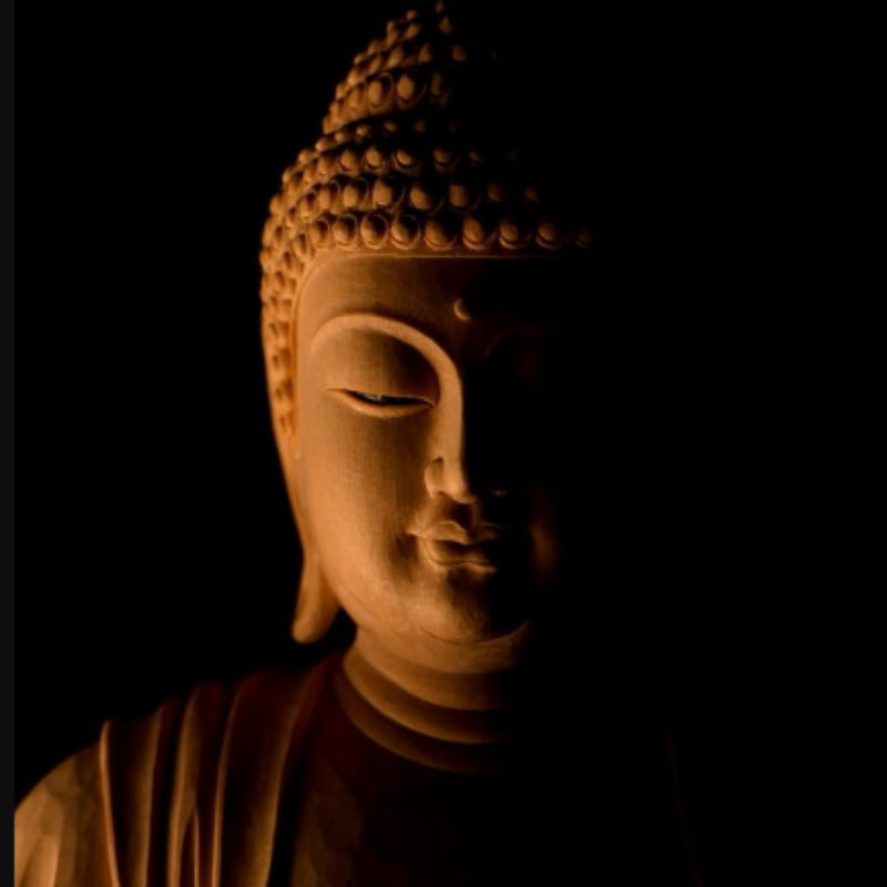Relaxing Oasis • Buddha Meditation Music