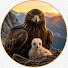 NF7cXsIT244-channel-avatar-Animal Life Journey