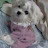 @행복곰드리