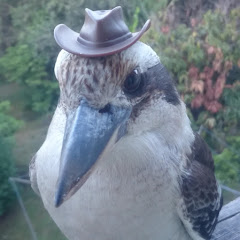 みんなの遊び場