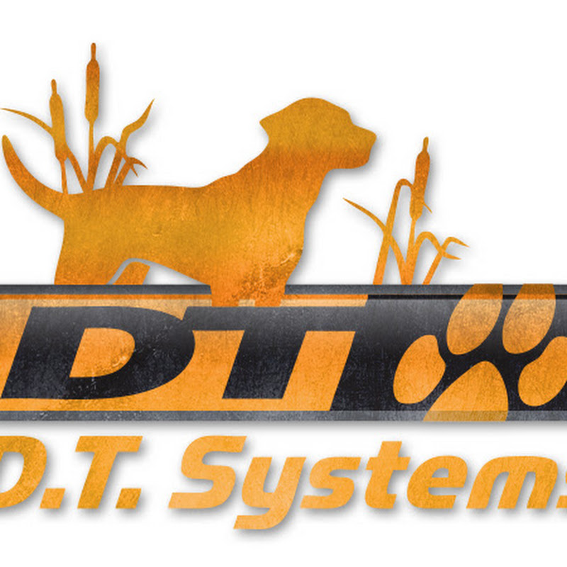 DT Systems Dog Training Videos