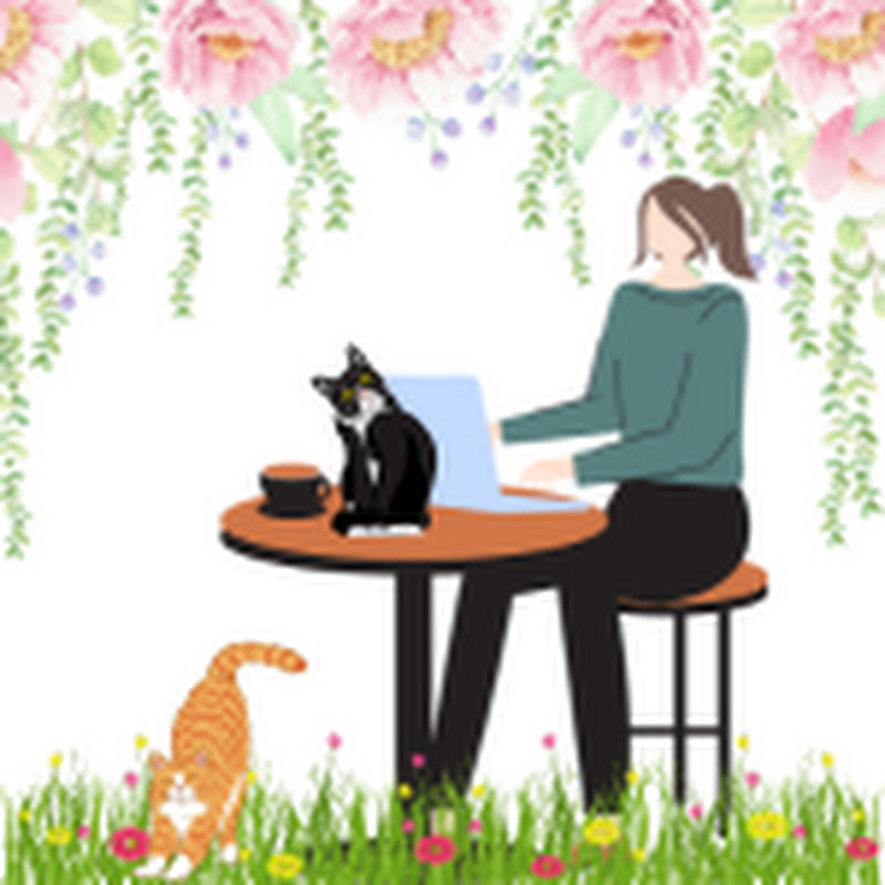 Cozy Cat Lady Life 
