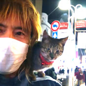 肩乗り猫リク / IZUMI