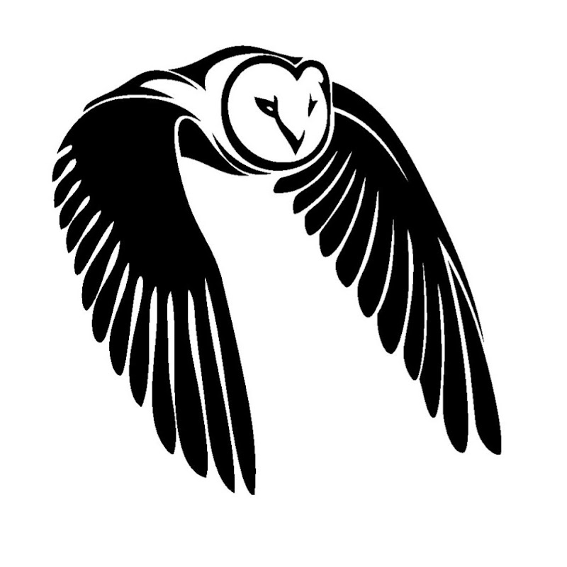 Charter Group Birdcams ציפורים אונליין קבוצת צ'רטר thumbnail