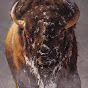 AmericanBison1776