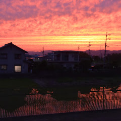 風と共にセリーヌ